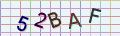 visual captcha
