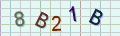 visual captcha